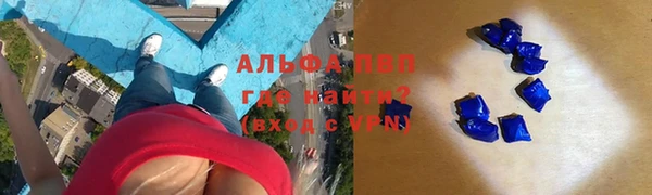 гидра Алексин