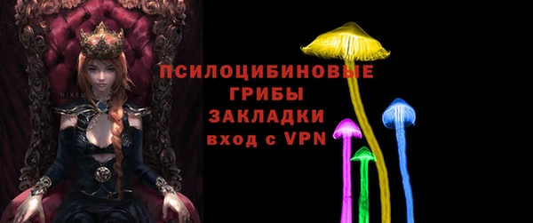 PSILOCYBIN Алзамай