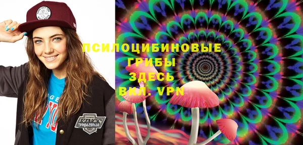 бутират Снежногорск
