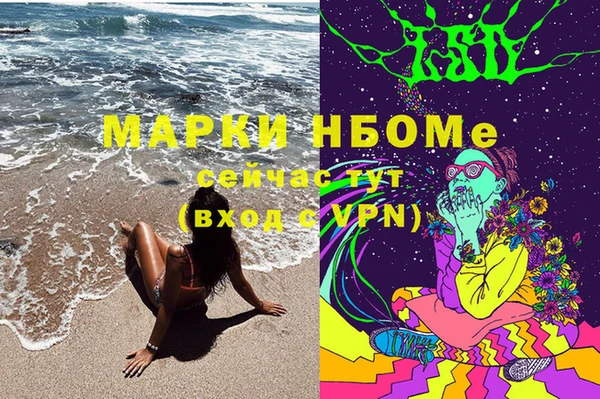 гидра Алексин