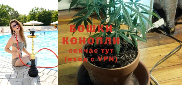 PSILOCYBIN Алзамай