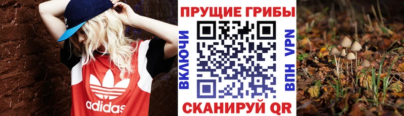 что такое наркотик  Воткинск  Псилоцибиновые грибы прущие грибы 
