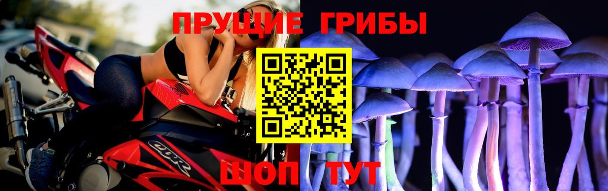 наркошоп  Галлюциногенные грибы Cubensis  Вход с VPN  Воткинск 